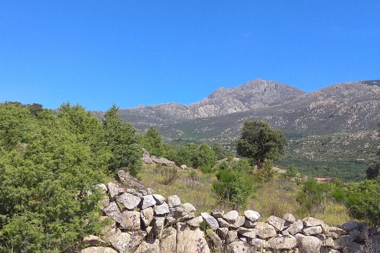 Acogedora Casa Rural En La Sierra De Madrid Mataelpino Exteriör bild