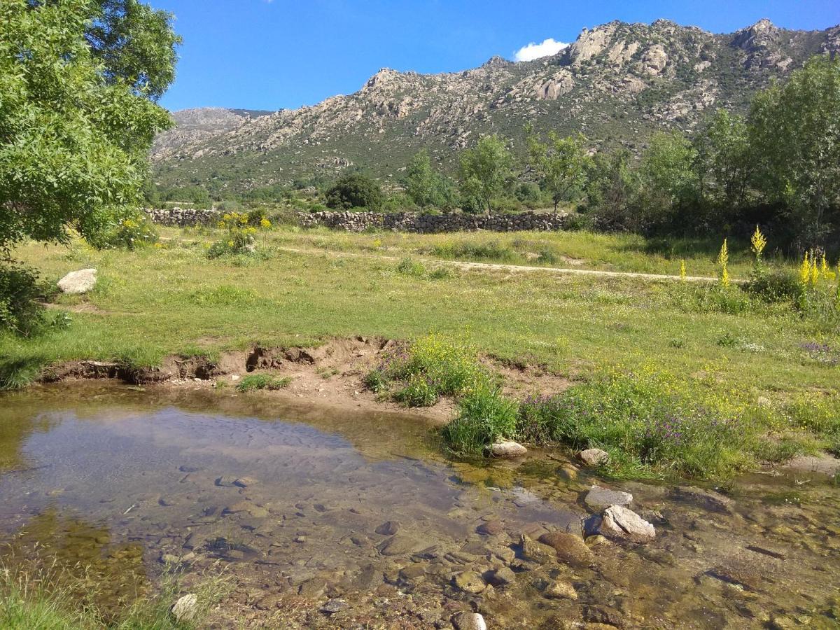 Acogedora Casa Rural En La Sierra De Madrid Mataelpino Exteriör bild