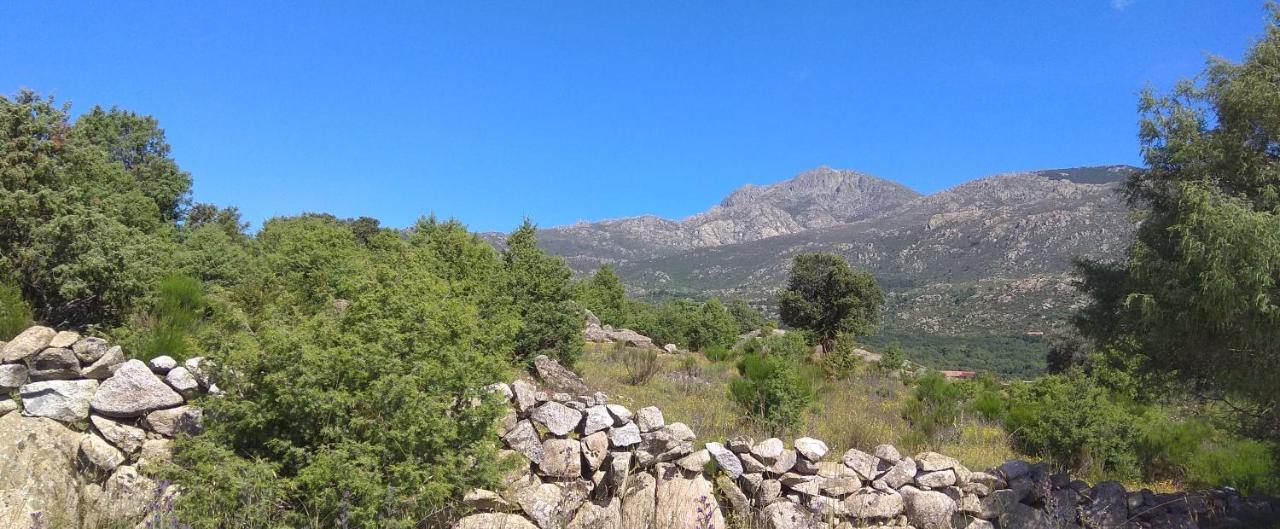 Acogedora Casa Rural En La Sierra De Madrid Mataelpino Exteriör bild